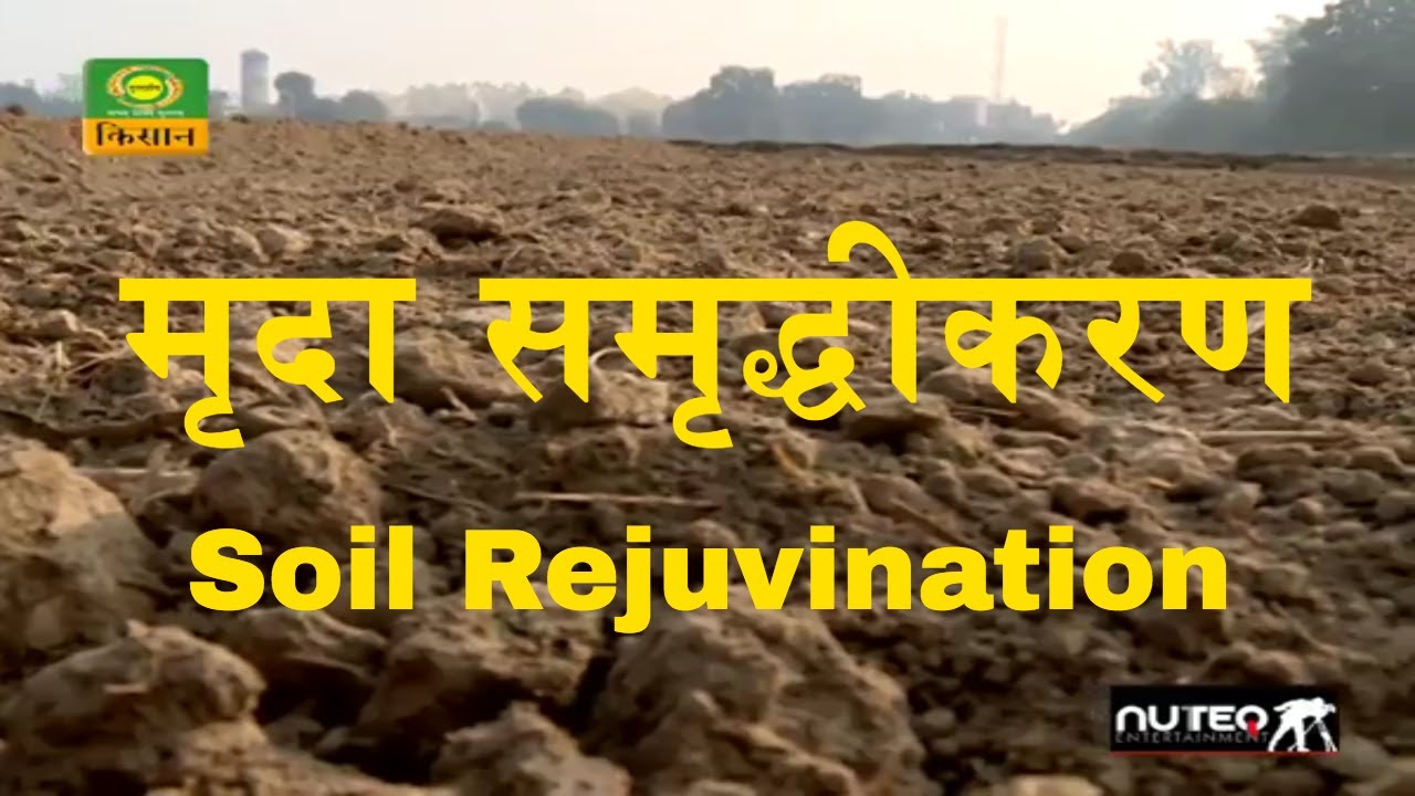 NCOF-Soil Rejuvination through Organic Farming  | जैविक खेती से मृदा समृद्धीकरण