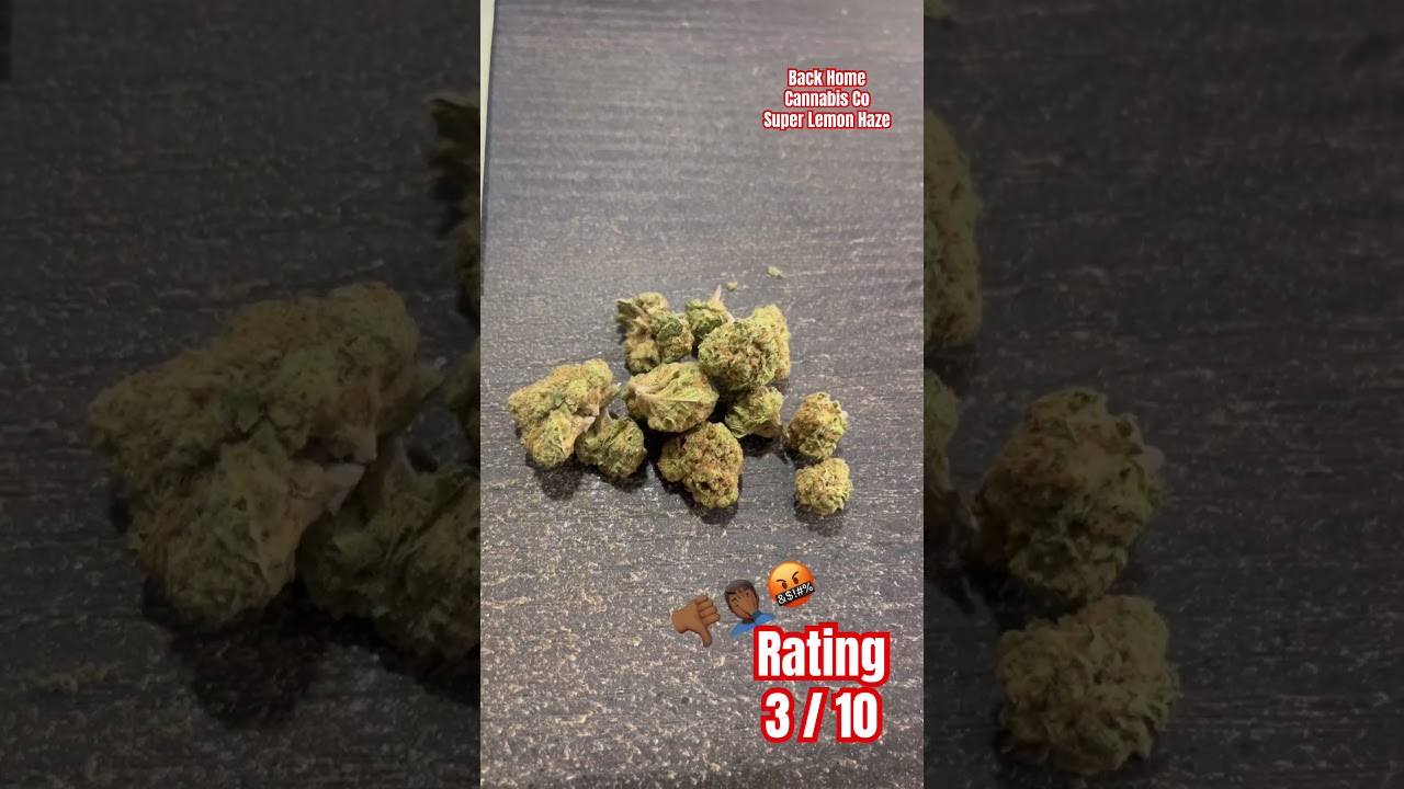 Back Home Cannabis Co- Super Lemon Haze /Strain Review