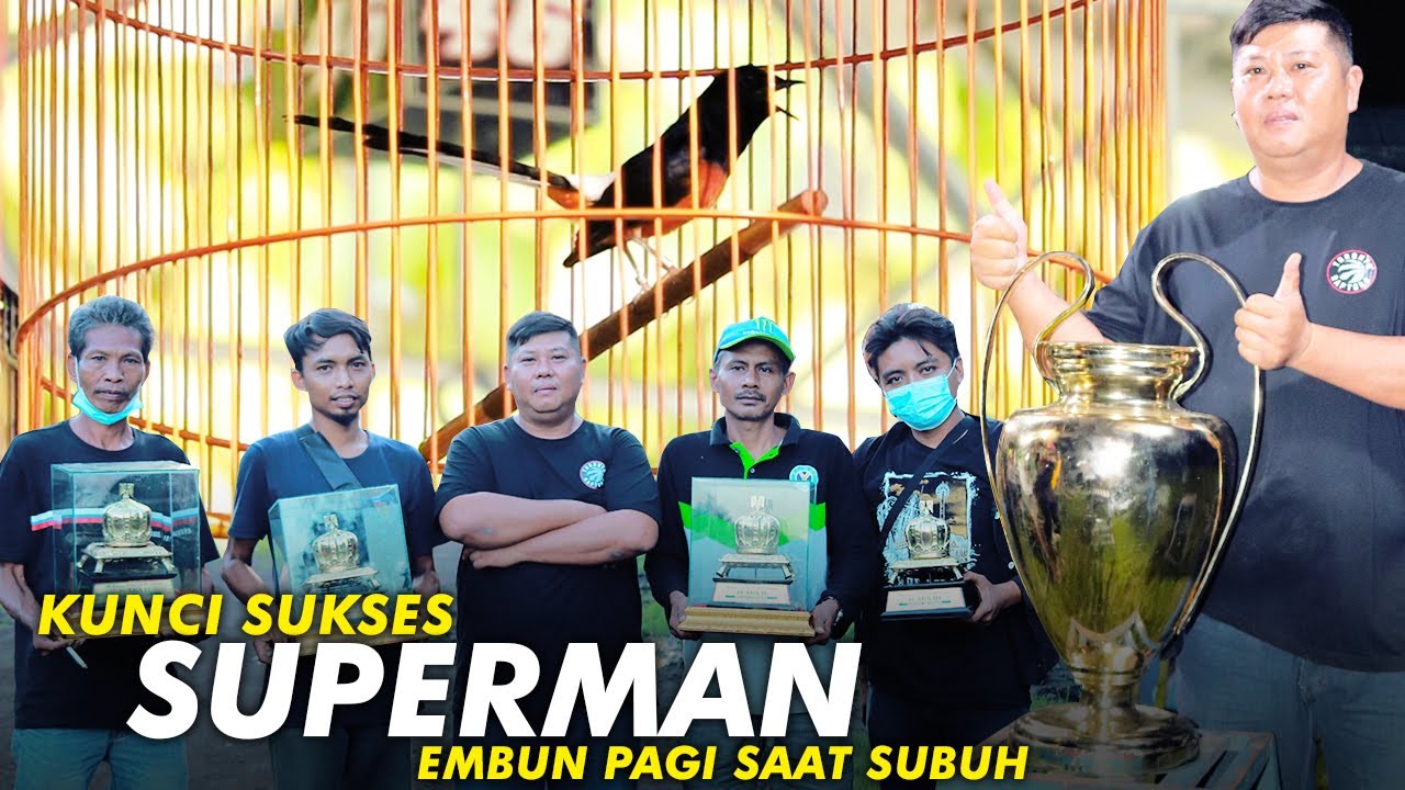 Kunci Sukses Murai SUPERMAN Juara Selama 5 Minggu Tanpa Henti