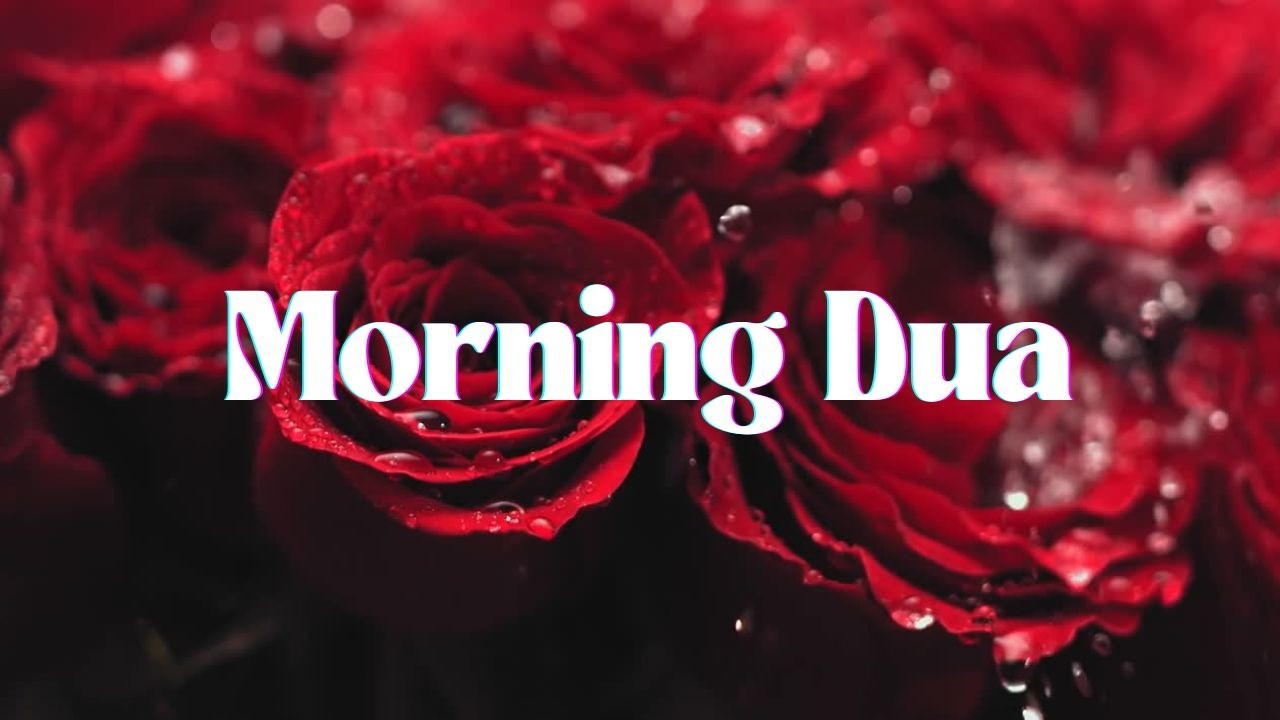 Beautiful Morning Dua full  |By Omar Hisham Al Arabi || listen Daily for health, Wealth and Blessing