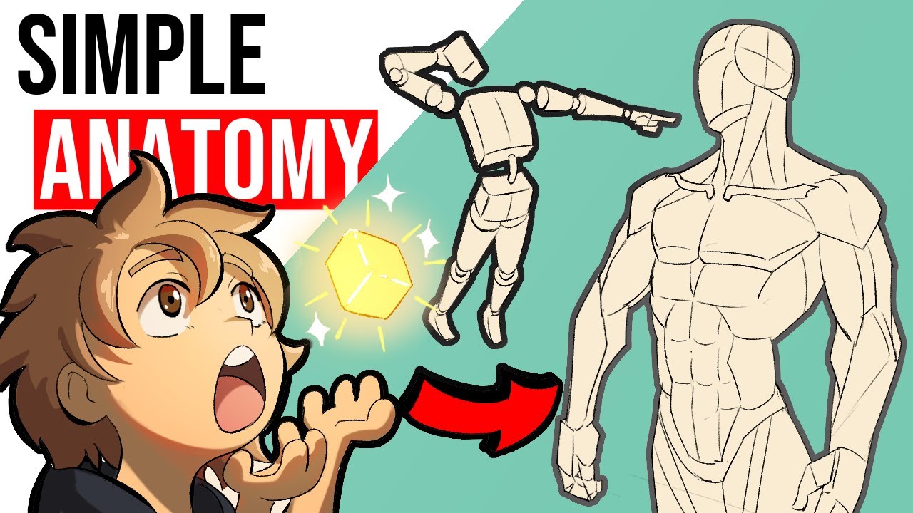 How to Draw the Human Body – What Made It Click for Me