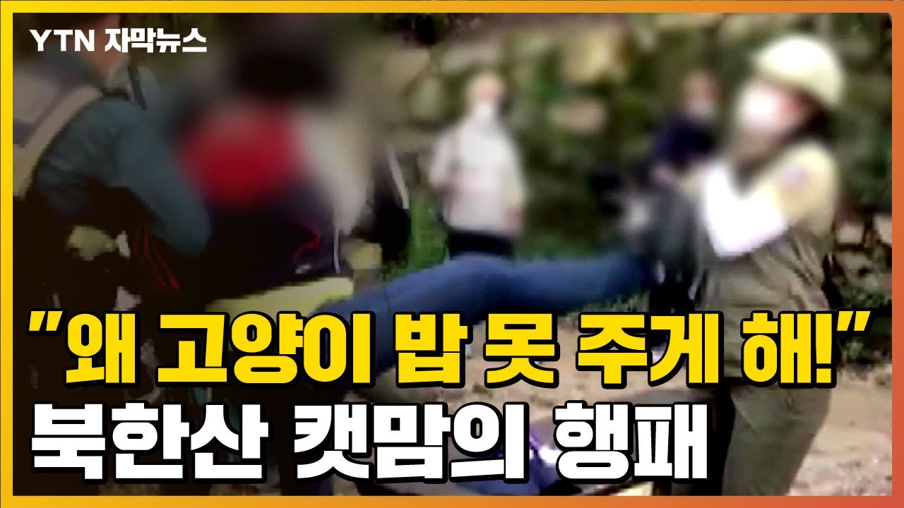 [자막뉴스] 