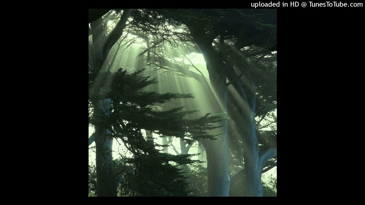 kankan + livefastdieslay type beat “sound ” prod. wav.pathu + jsmx