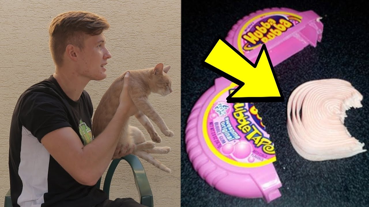 10 IDEGESÍTŐ fotó ami tutira FELIDEGESÍT! (vagy nem)