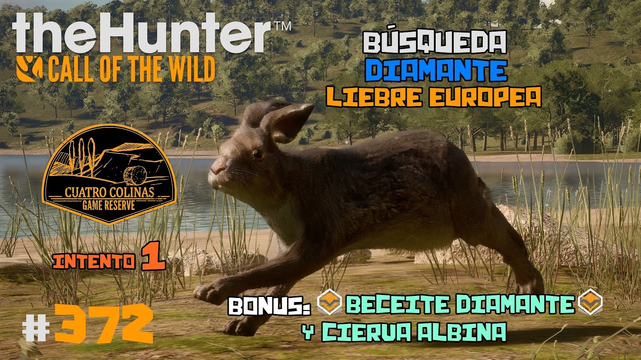 🦌theHunter: Call of the Wild #372 | EN BUSCA DEL DIAMANTE DE LIEBRE EUROPEA - INTENTO 1 | Español