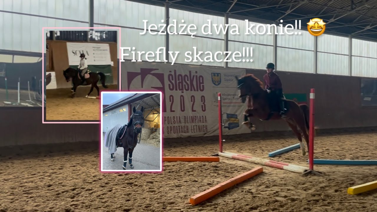 Vlog#128|| Jeżdżę dwa konie!! || Firefly skacze! 🤩