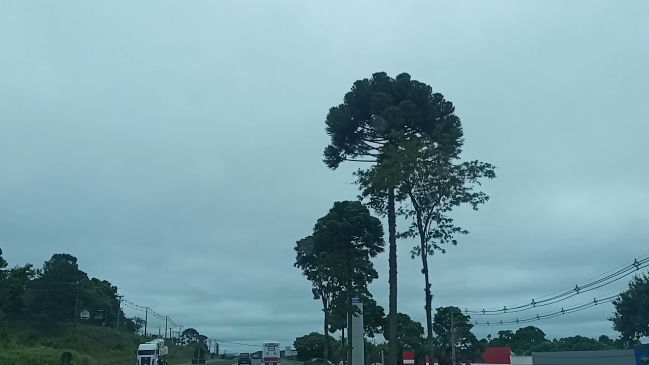 VIAGEM DE PONTA GROSSA A JAGUARIAÍVA E UM DIA DE TRABALHO DE TOPOGRAFIA