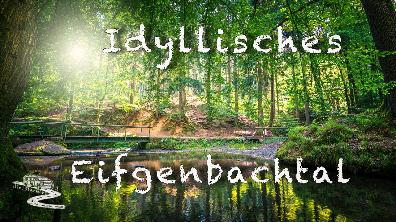 Das idyllische Eifgenbachtal: Naturparadies mit Veränderungen