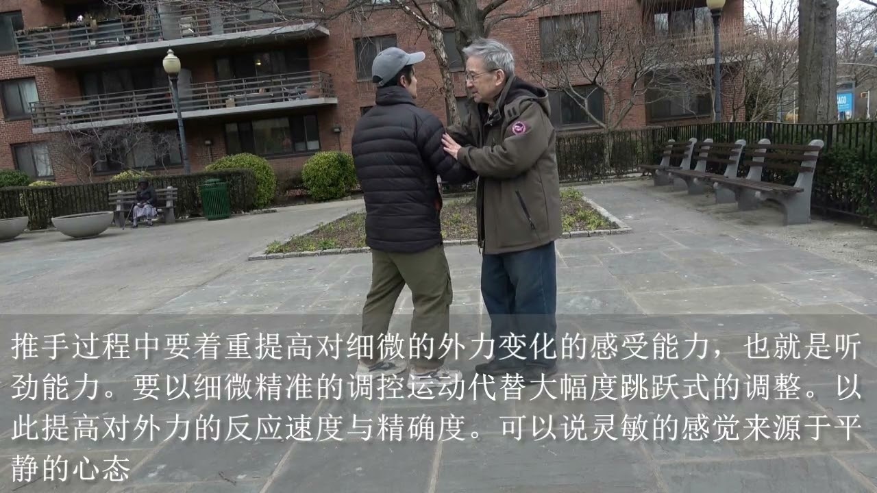 一事一议说太极 （11）要避免大幅度跳跃式的调控。chat on Taiji （11）  should avoid drastic, jump-like adjustments