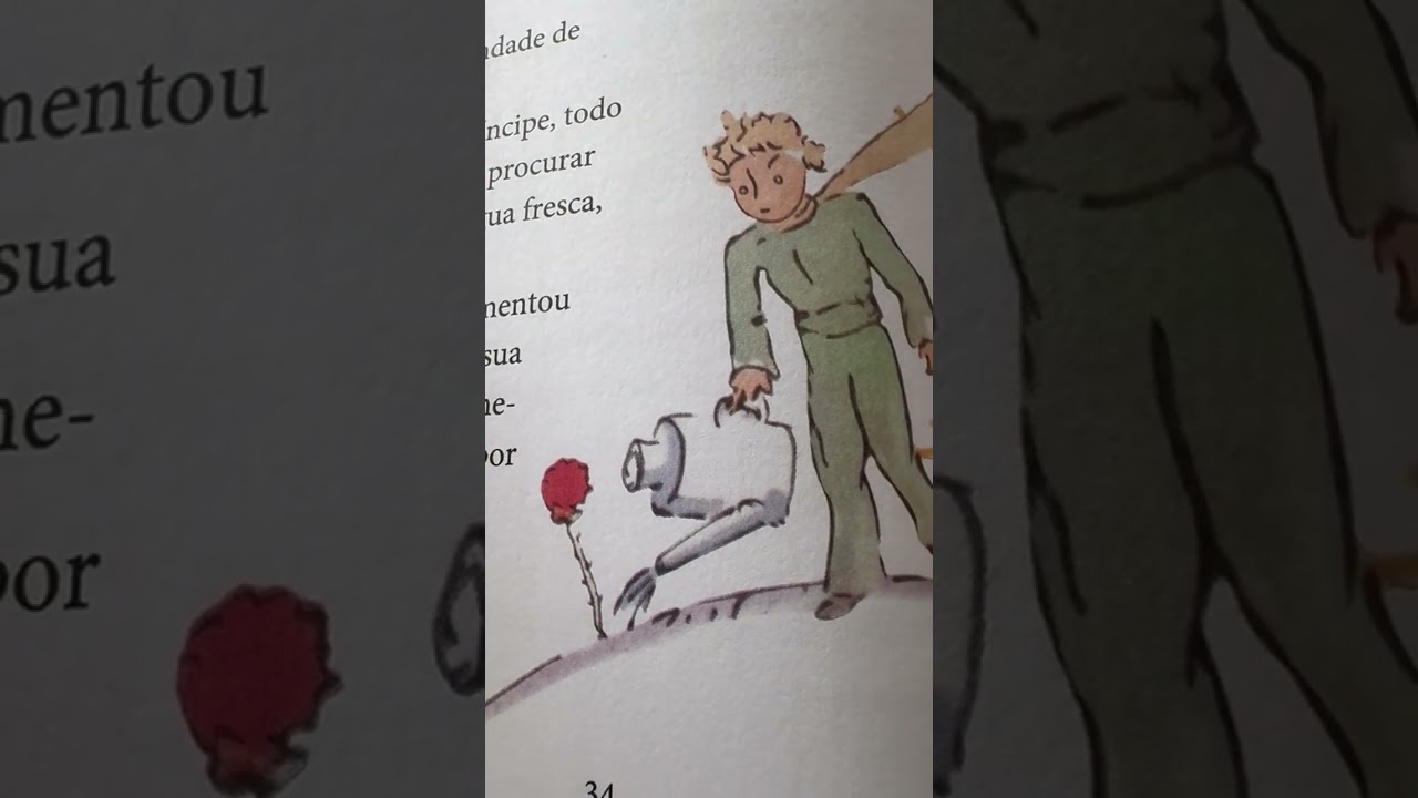 O Pequeno Principe - 8