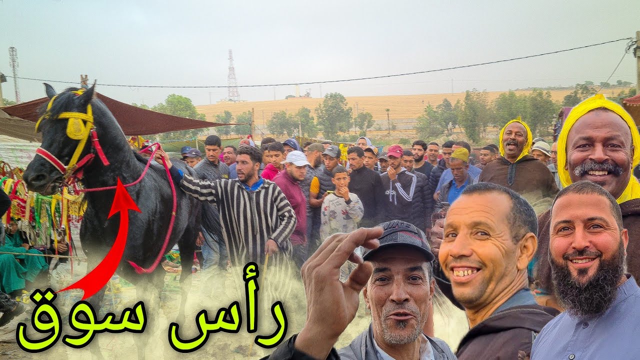 أحسن سوق مع بدريس😍عندو عود دهم ملكي رأس سوق باعو مباشرة شابكة ديال بصحة 😱💯