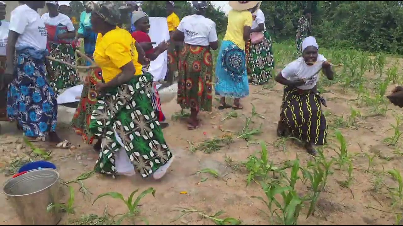 VANHU VEBUHERA KA. MUSAZODARO SO. VANOKUVADZISA NE JOY