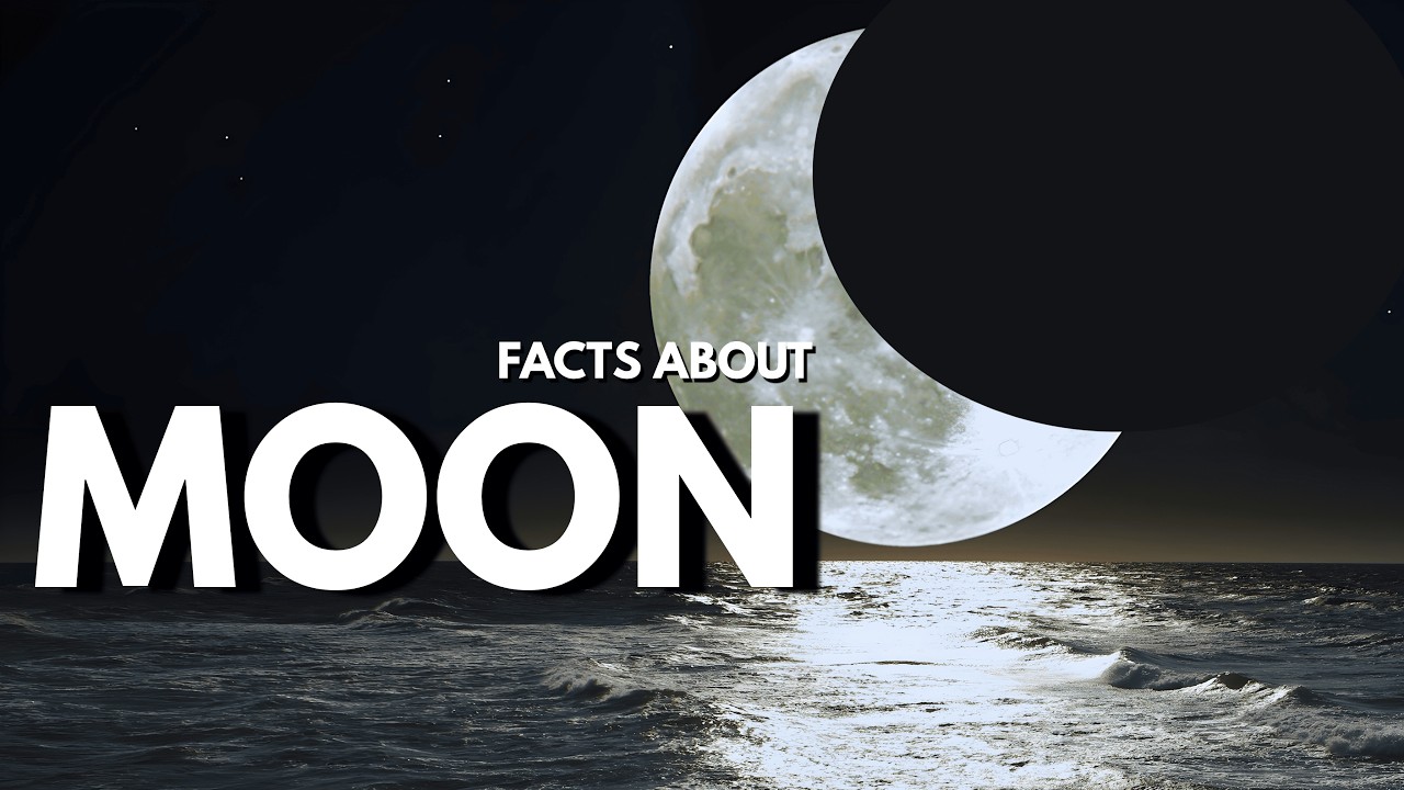 The Moon Never Rushes — Relaxing Phases to Fall Asleep To