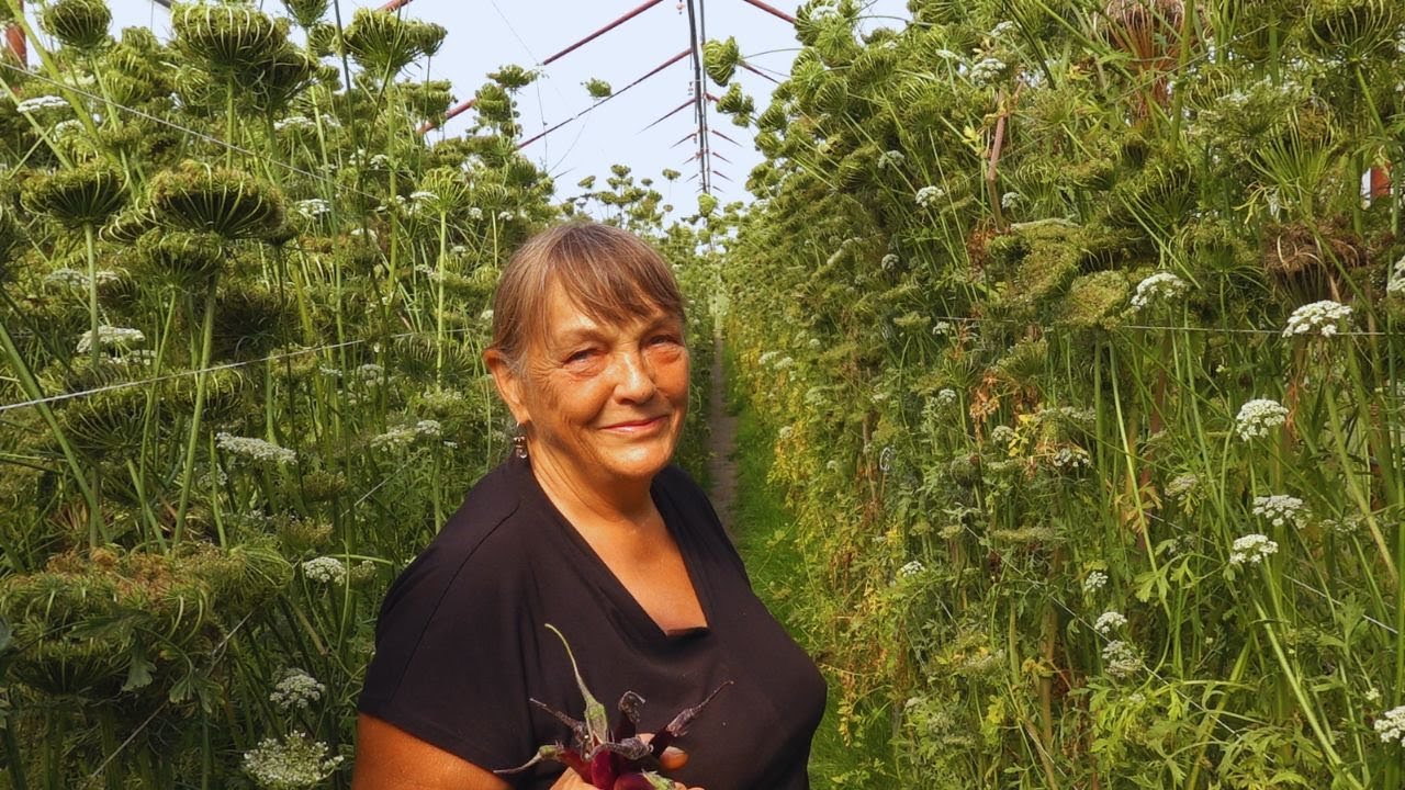 Apostando a lo grande por la agro-biodiversidad: semillas puras en el corazón de Europa