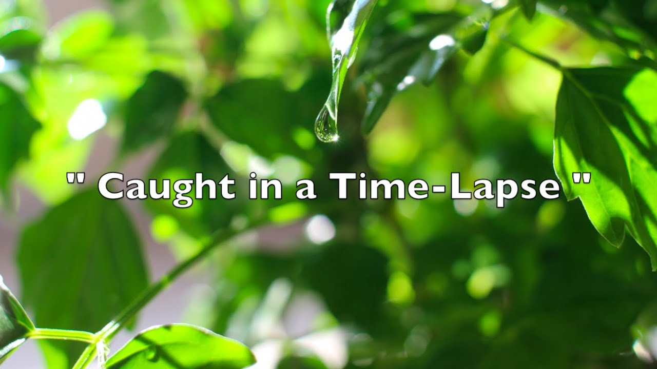 Caught in a Time Lapse - Jo-Ed (Official Audio)