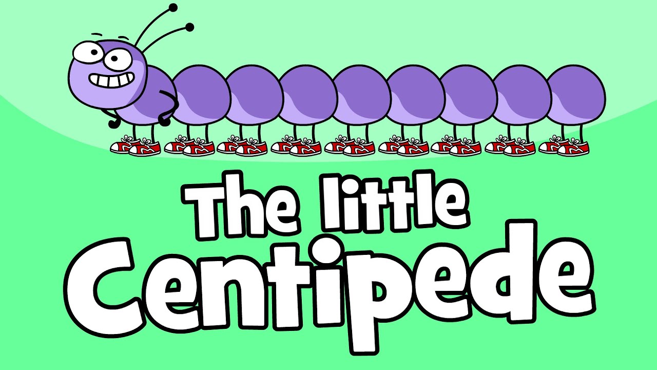 ♪♪ Centipede Children's Song | Funny Animal Songs | Hooray Kids Songs & Nursery Rhymes | Animals