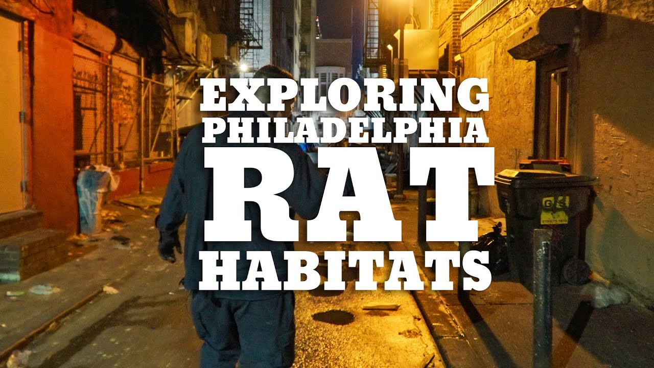Exploring Rat Habitats In Philadelphia