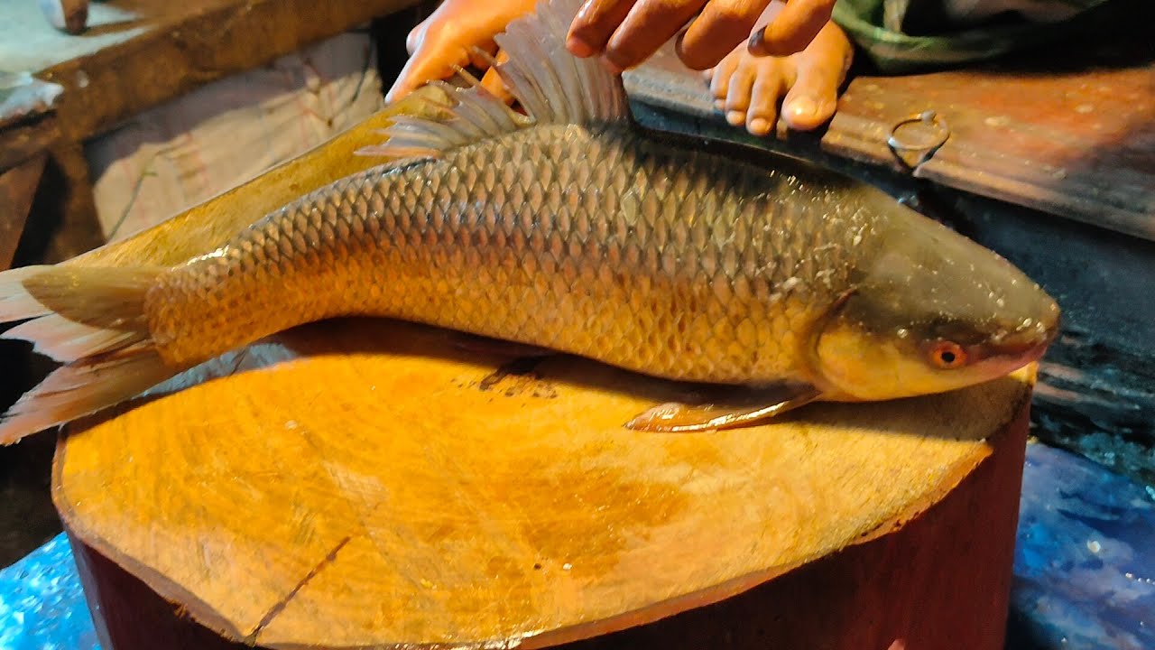 Pleasing Knife Skills Of Cutting Rohu Fish | Huge Rohu Fish Cutting By Expert Fish Cutter