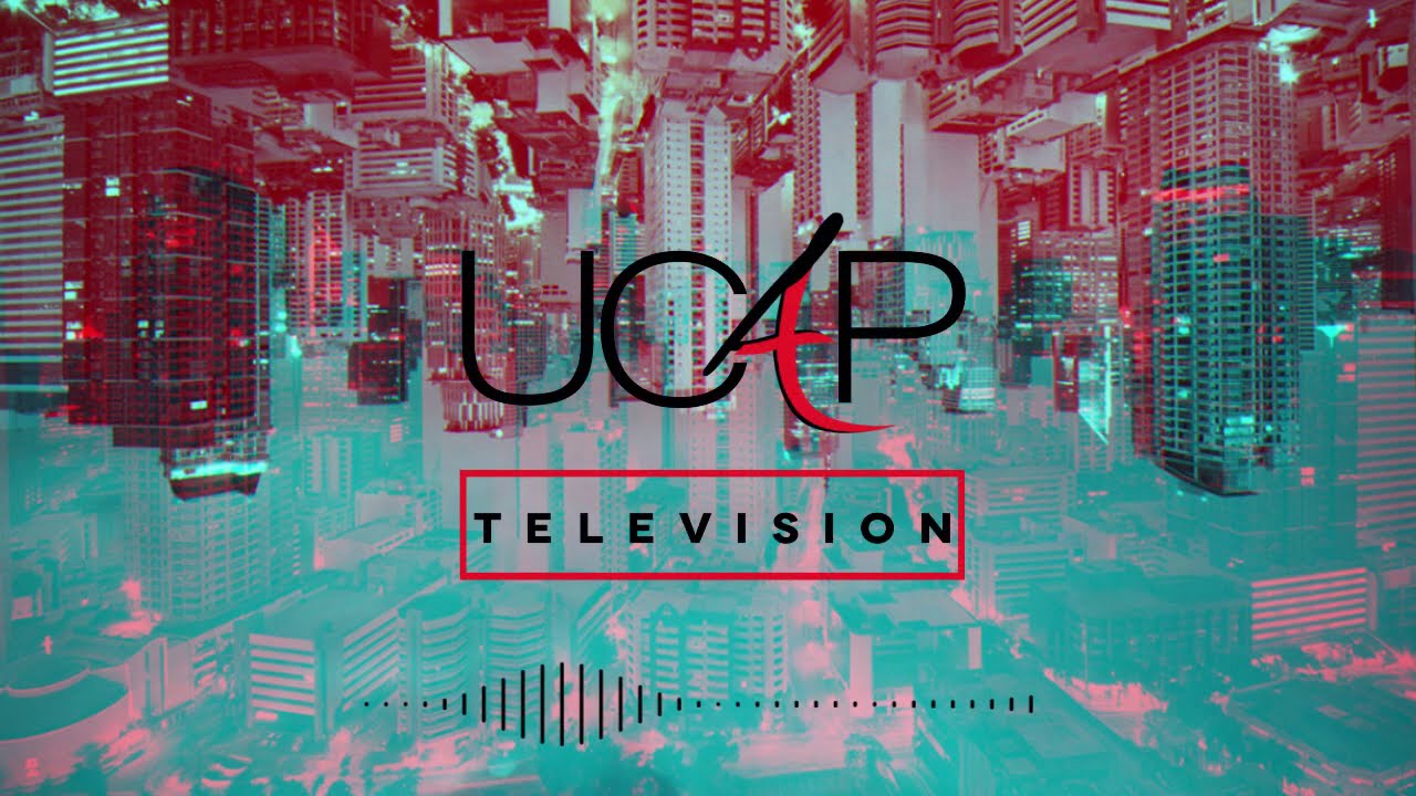 Upside Down by The Stray (Lyric Video)