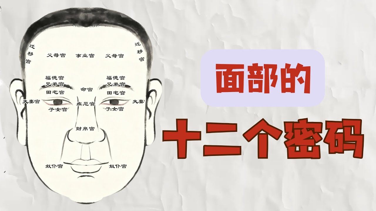 【面相第四講】面相十二宮