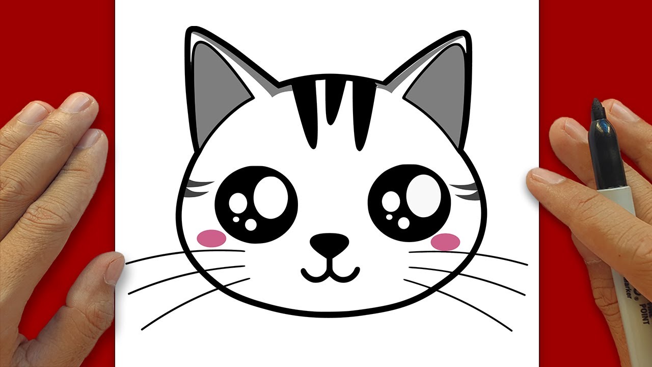 How to Draw a CAT Step By Step 😼– Simple Line Art | Kawaii Cat Drawing