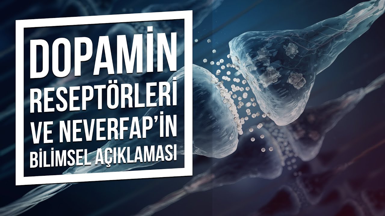 DOPAMİN RESEPT&Ouml;RLERİ VE NEVERFAP'İN BİLİMSEL A&Ccedil;IKLAMASI