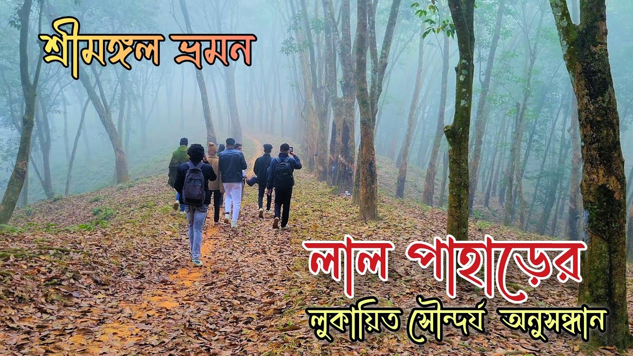 পথ হারিয়ে লাল পাহাড় শ্রীমঙ্গলের লুকায়িত সৌন্দর্য অনুসন্ধান | Hidden beauty of Lal Pahar, Sreemangal