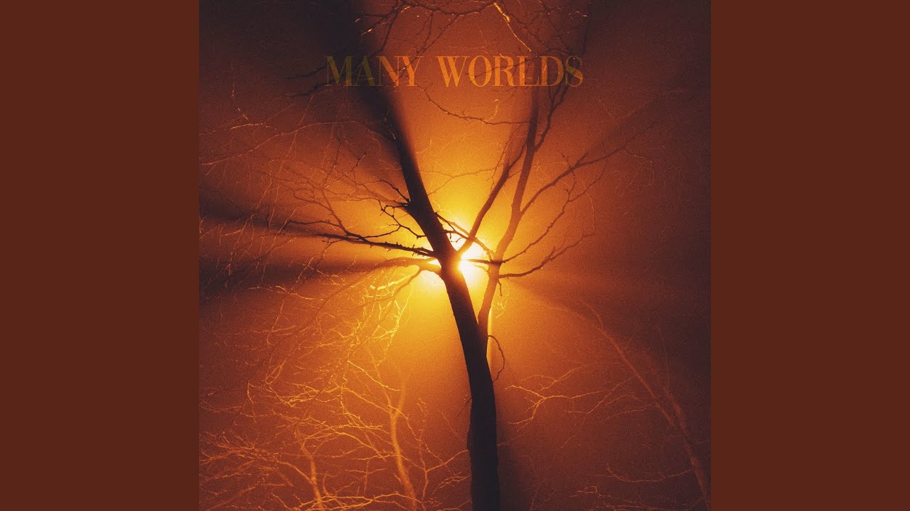 Many Worlds