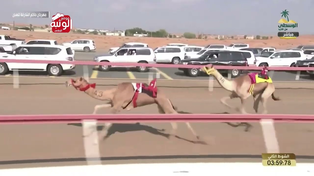 ش2 ملبي لـ صالح مبارك سميتان بالذيب النهدي (ميدان الذيد 27-10-2023م) بندقية الحقايق قعدان 4:22:72