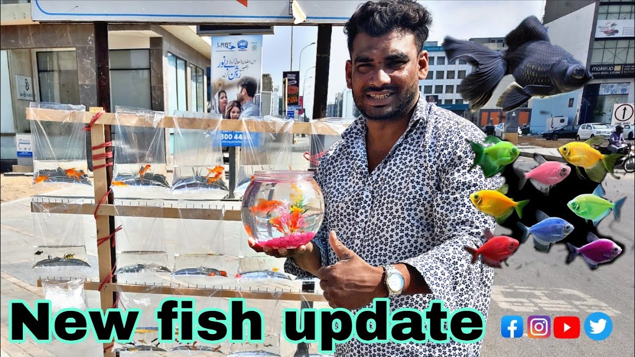 27date new fish update || watch full vedio || #fishpoint #fypシ #fishtank 