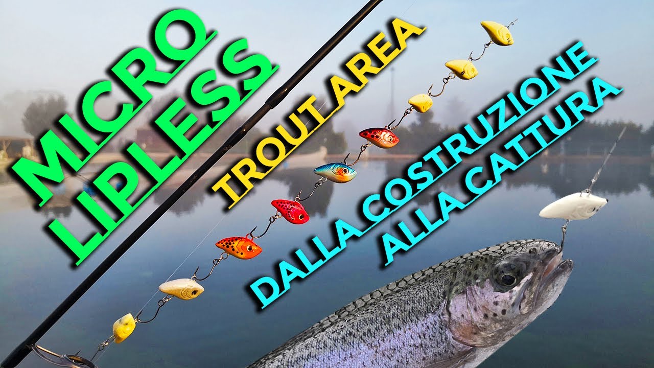 Micro Lipless da Trout Area | Dalle tante Costruzioni alle tante catture