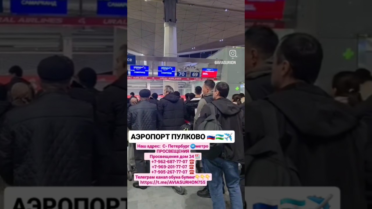17.10.2025 АЭРОПОРТ ПУЛКОВО #лайк #automobile #aviasurhon ✈️ #news #tezkunda #rek #ташкент #рек #рек