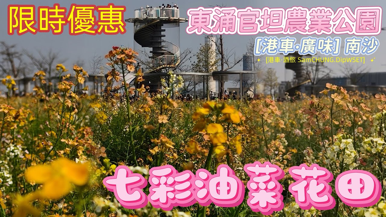 [港車·廣味] 七彩油菜花田·限時優惠 南沙·東涌官坦農業公園 東涌·明記漁邨「#港車大灣S26020」