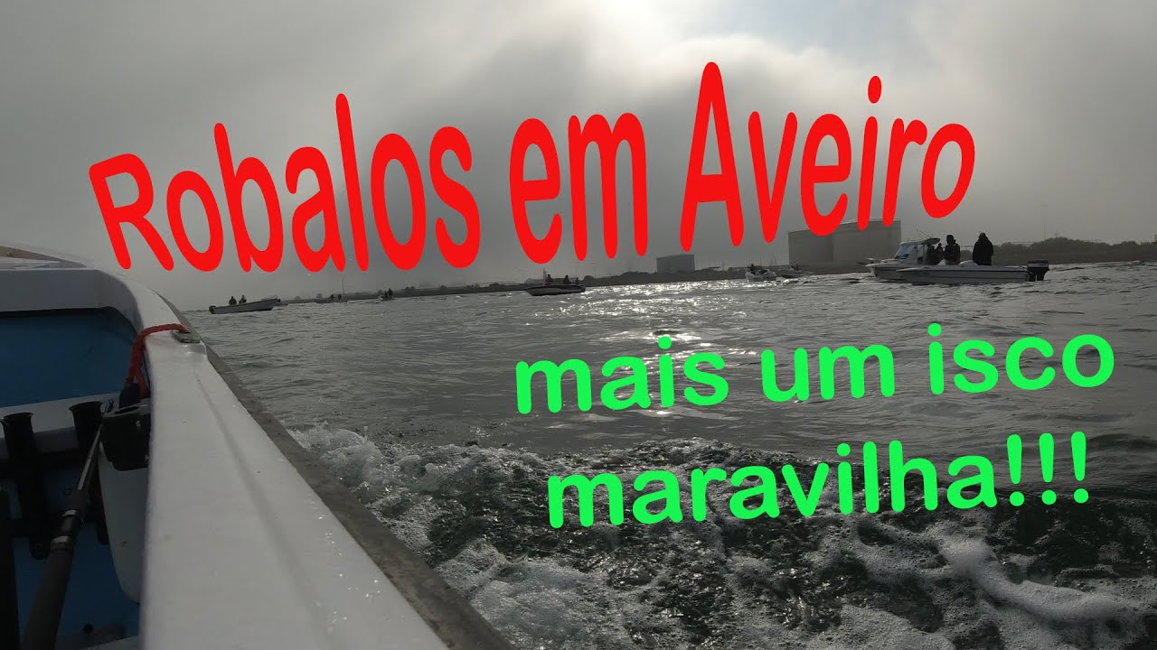 Pesca ao Robalo