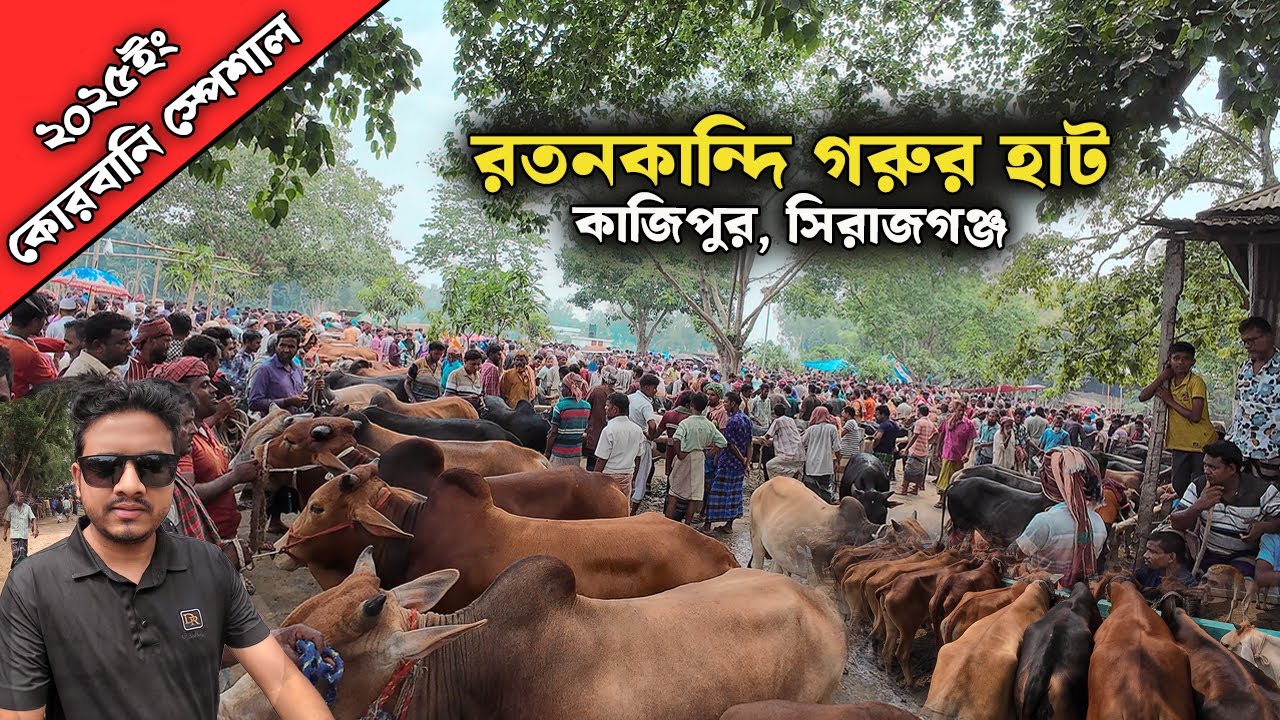 &ldquo;রতনকান্দি গরুর হাট ২০২৫ - দাম জানলে চমকে যাবেন!&rdquo; | Qurbani Cow Market in Bangladesh