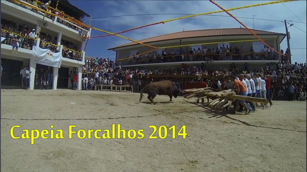 Filme Capeia Arraiana - Forcalhos 2014