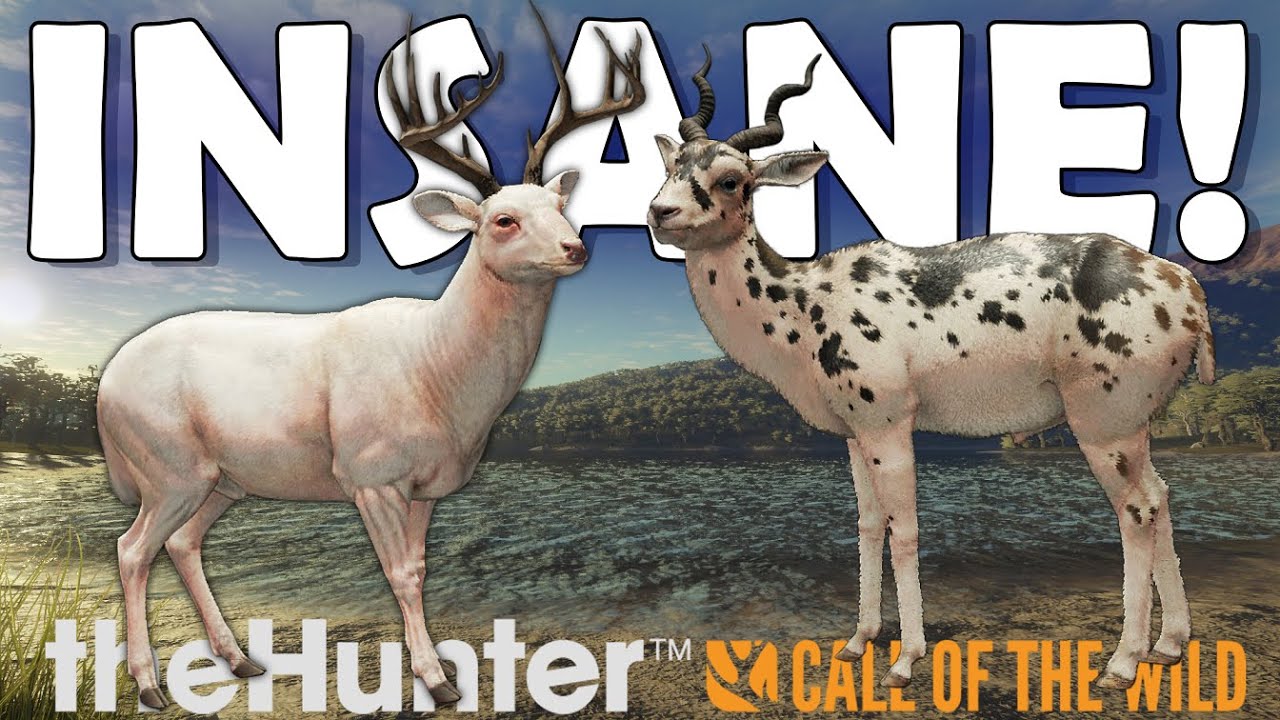 ОХОТА ЗА БЕЗУМНО РЕДКИМИ ВЕЩАМИ НАЧАЛАСЬ!!! (с Митчем) - Call of the Wild