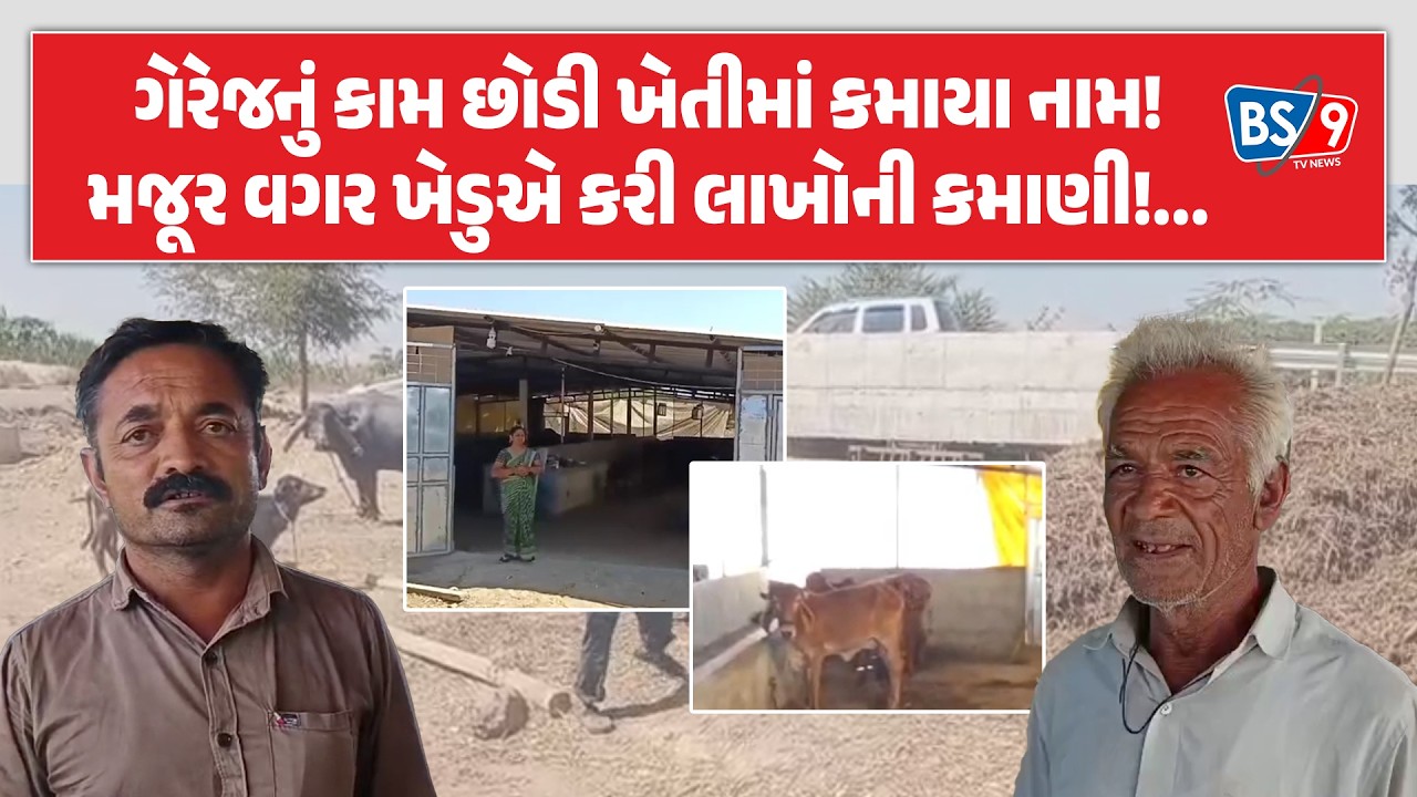 Amreli | તરઘરીના પ્રકાશભાઈએ ઓર્ગેનિક ખેતી અને પશુપાલનથી સર્જી નવી ક્રાંતિ | BS9 TV NEWS