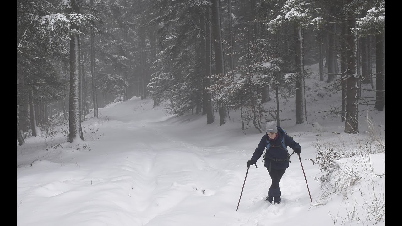 Beskid Sądecki -  Nowy Sącz- Rytro 01 12 2023r.