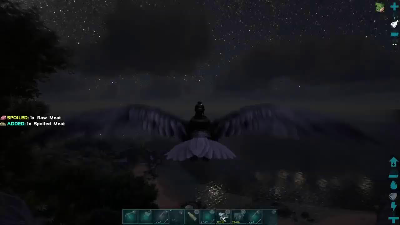 Ark