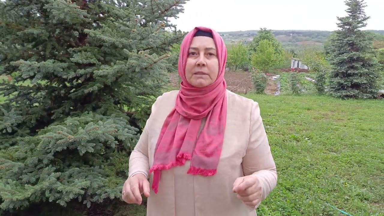 Küllemeye Son! Güllerimi Böyle Kurtardım, Meyve Sebze ve Güllere Doğal Mücadele