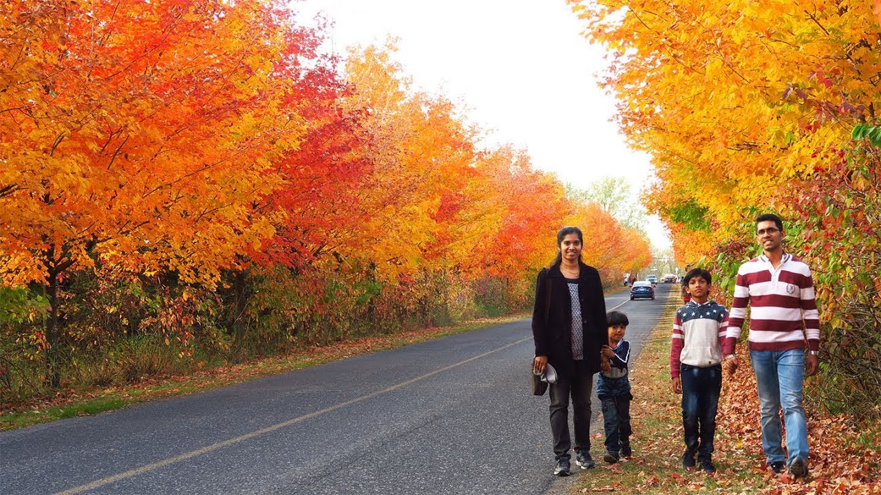 Montreal  The  Fall Season _  2017