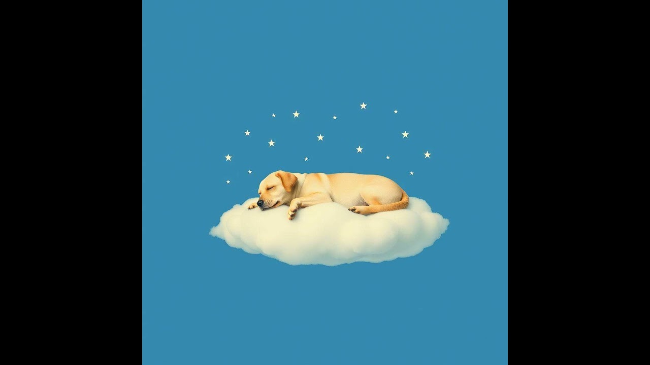 【いぬ専用セラピー音楽】1月7日わん｜Therapeutic music for dogs