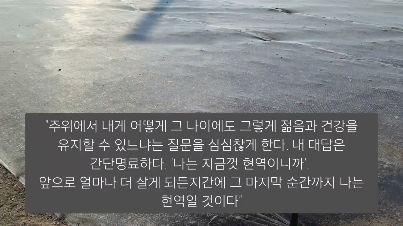 겨울이지만 온화한 날에 순천만국가정원 산책을 하며  시원한 기분으로 정원의 풍경을 즐겨 보다