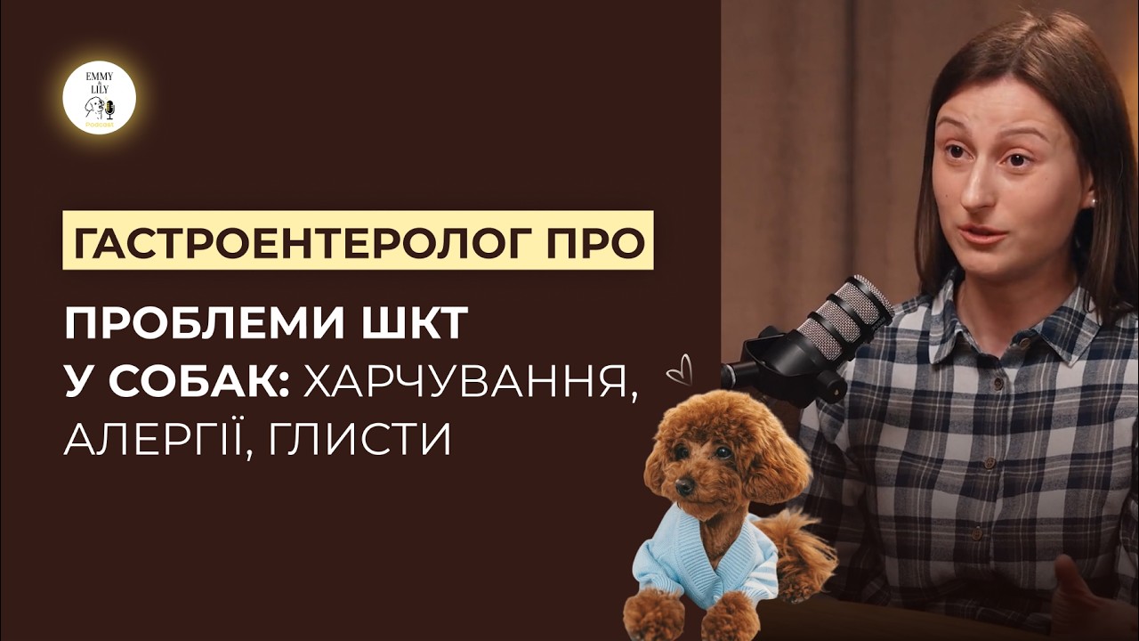 Ветеринарний гастроентеролог про проблеми ЖКТ у собак: харчування, алергії, глисти.