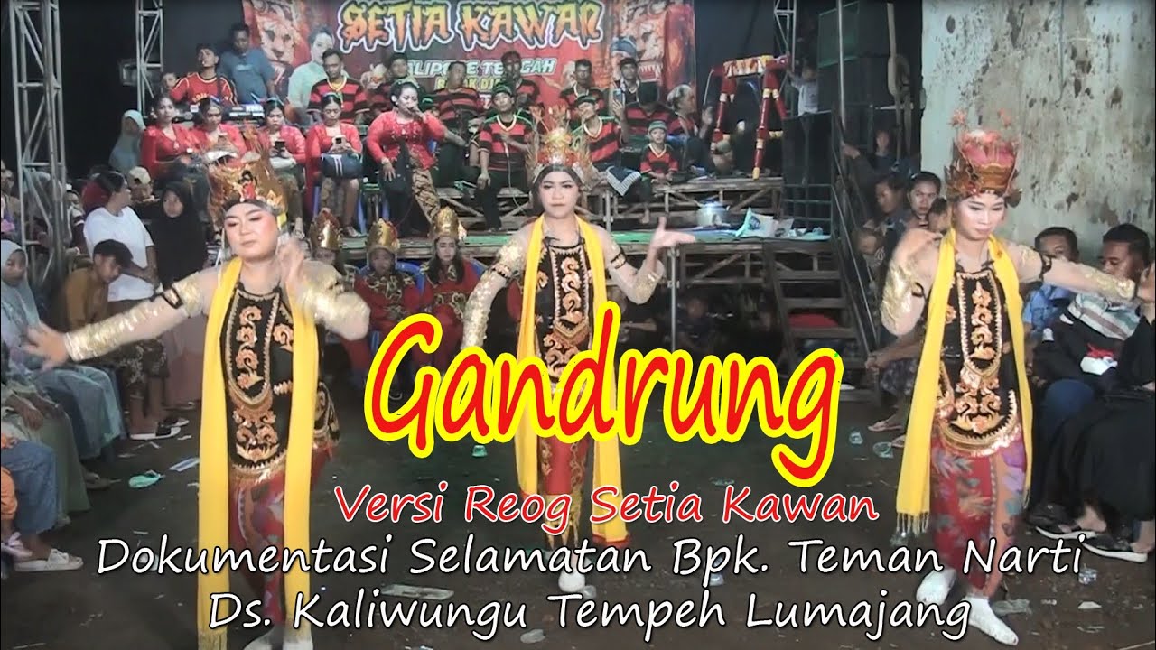 Gandrung//Reog Setia Kawan//Hanatan P. Teman Narti Ds. Kaliwungu Tempeh Lmj