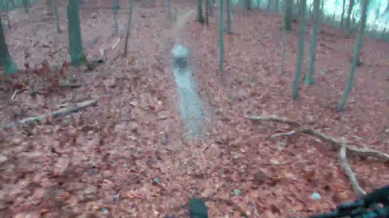 Highlights from the nuke trails 1/23/26
