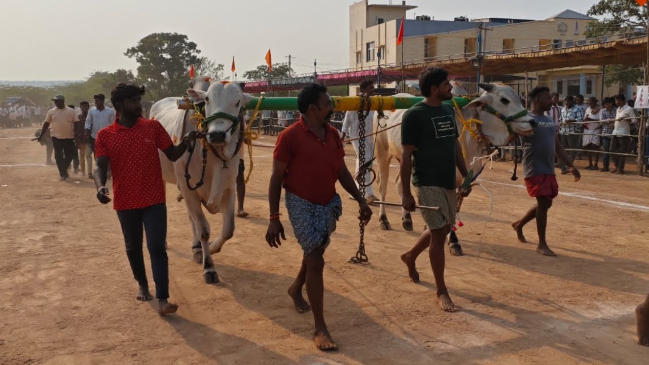 అహోబిలం  4పళ్ళు విభాగంలో 5వ జత  లంగుట్ల  ప్రసాద్ నాయుడు బ్రదర్స్