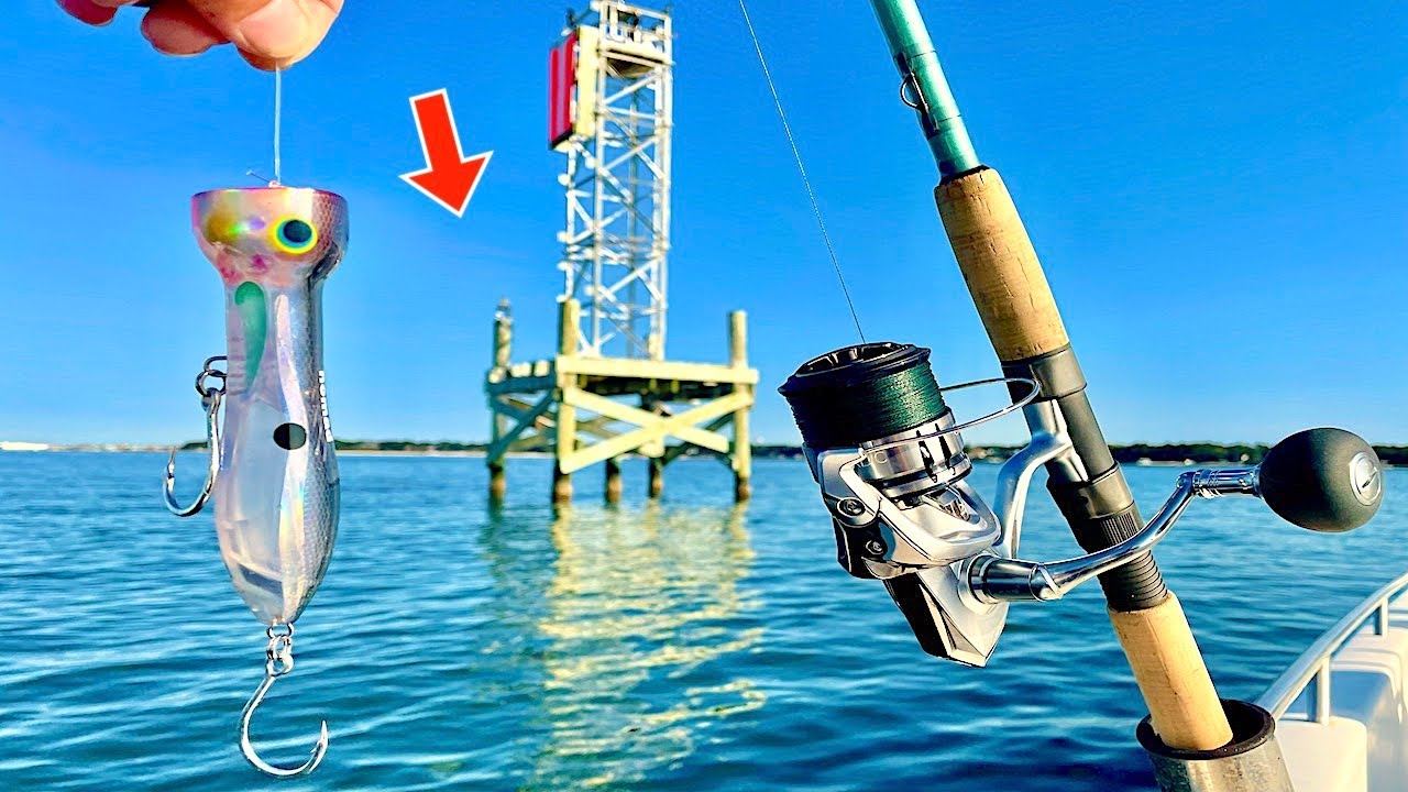 TOSSED a HUGE! TOPWATER in PENSACOLA BAY When I Caught THIS! *EPIC Blowup*