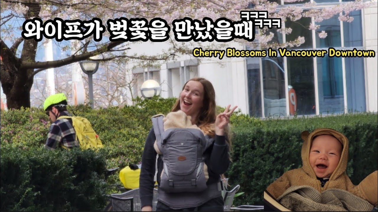 (밴쿠버 브이로그) 와이프가 벚꽃을 만났을때 ㅋㅋㅋ| Cherry Blossoms In Vancouver Downtown #국제커플  #캐나다 #육아브이로그